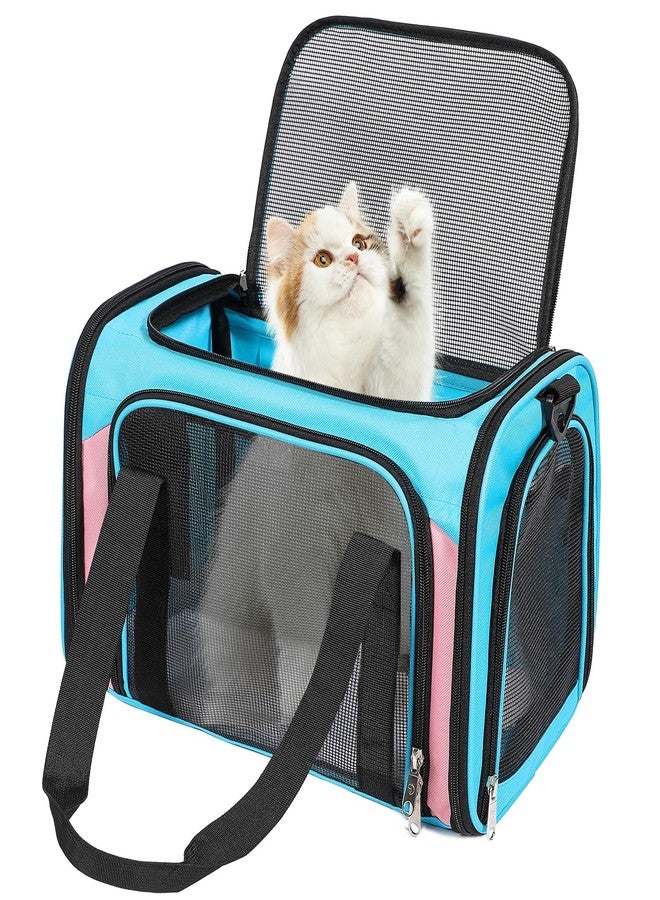 Discala Cat Dog Carrier Up to 15 Lbs TSA Airline Approved Pet Carrier for Small Medium Cats Puppies Dog Carriers for Small Dogs Collapsible Soft Sided Cat Travel Carrier - Blue&Pink 17"x11"x11" - Image 1